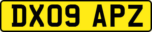 DX09APZ