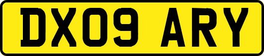 DX09ARY