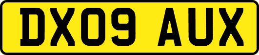 DX09AUX