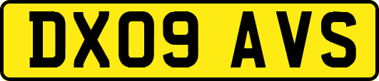 DX09AVS