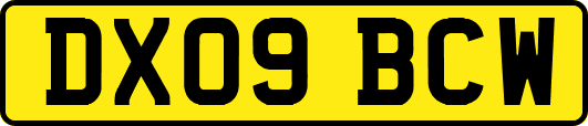 DX09BCW
