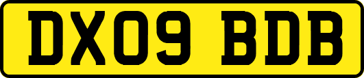 DX09BDB