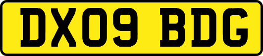 DX09BDG