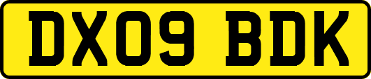 DX09BDK