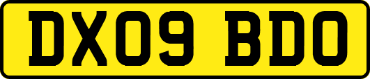DX09BDO