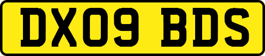 DX09BDS