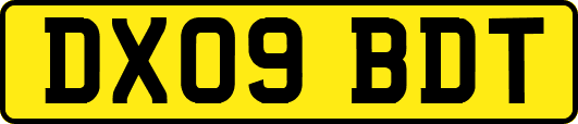 DX09BDT