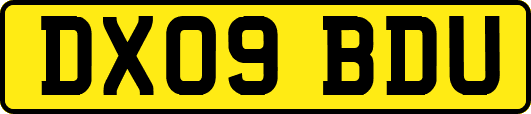 DX09BDU