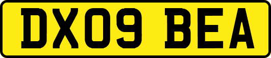 DX09BEA