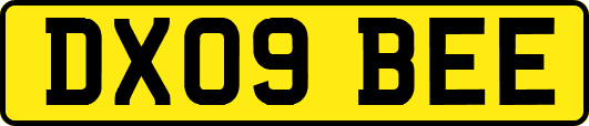 DX09BEE