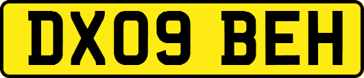 DX09BEH