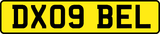 DX09BEL