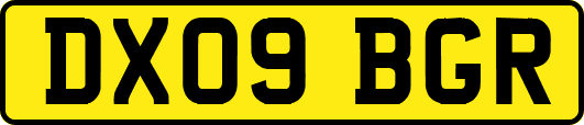 DX09BGR
