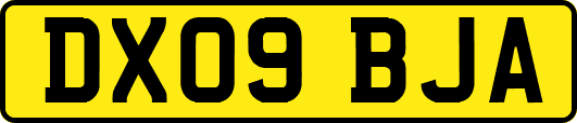 DX09BJA