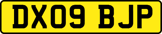 DX09BJP