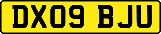 DX09BJU
