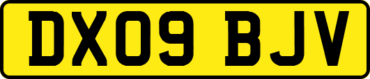 DX09BJV