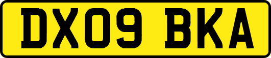 DX09BKA