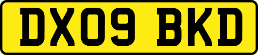 DX09BKD