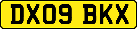 DX09BKX