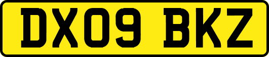 DX09BKZ