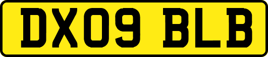 DX09BLB