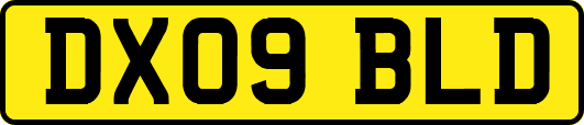 DX09BLD