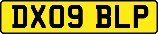 DX09BLP