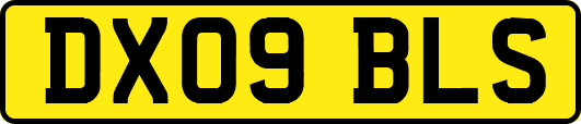 DX09BLS