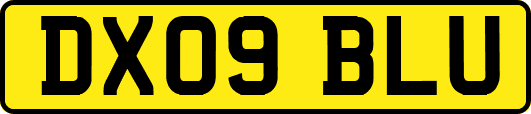 DX09BLU
