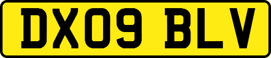 DX09BLV