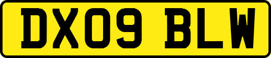 DX09BLW