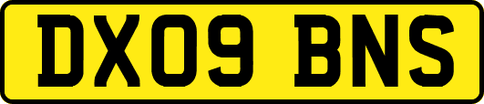 DX09BNS