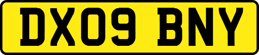 DX09BNY
