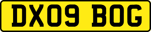 DX09BOG