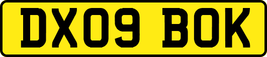 DX09BOK