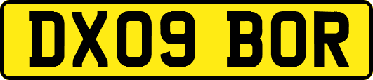 DX09BOR