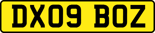 DX09BOZ