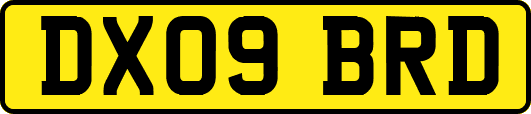 DX09BRD
