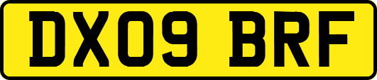 DX09BRF