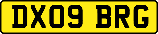DX09BRG