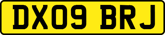 DX09BRJ