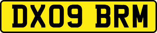 DX09BRM