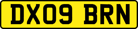 DX09BRN
