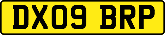 DX09BRP