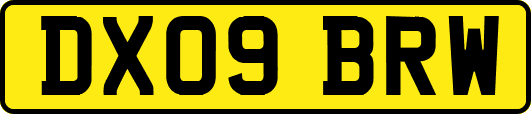 DX09BRW
