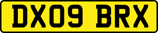 DX09BRX