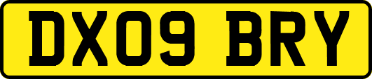 DX09BRY