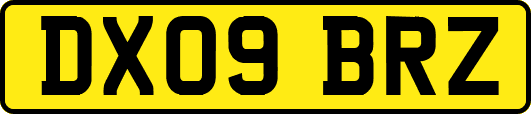 DX09BRZ