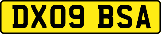 DX09BSA